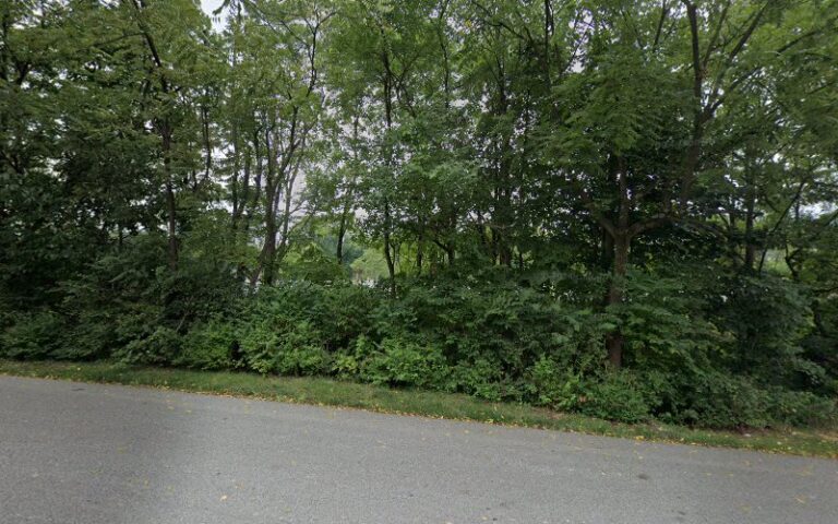 Feature image