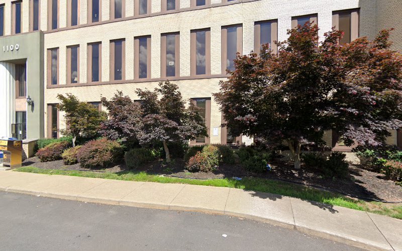 25271 hodzic porach llc
