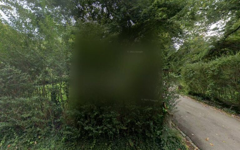 Feature image