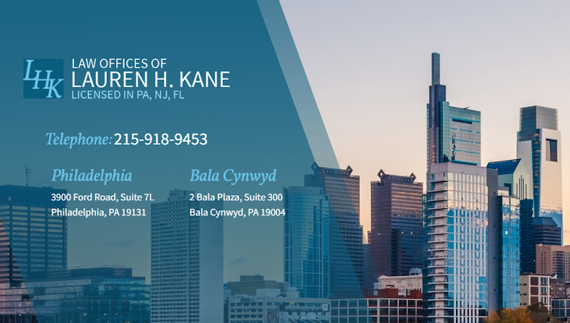 28095 law offices of lauren h. kane 8211 bala cynwyd family law