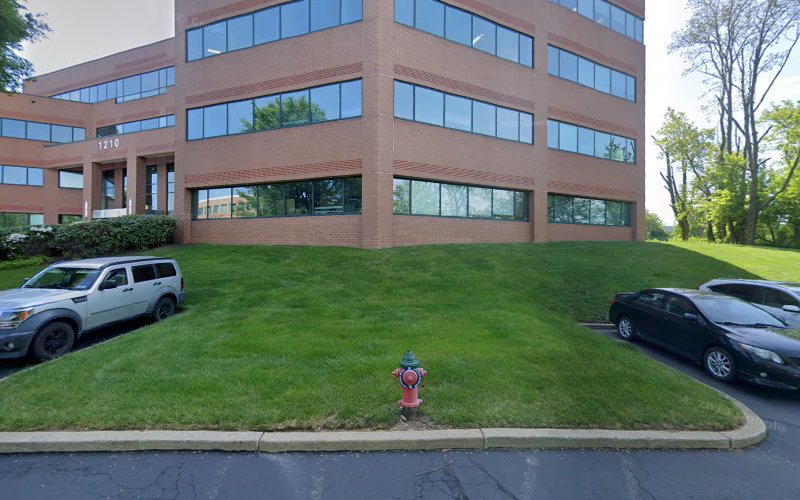 29941 michael s. levin esq