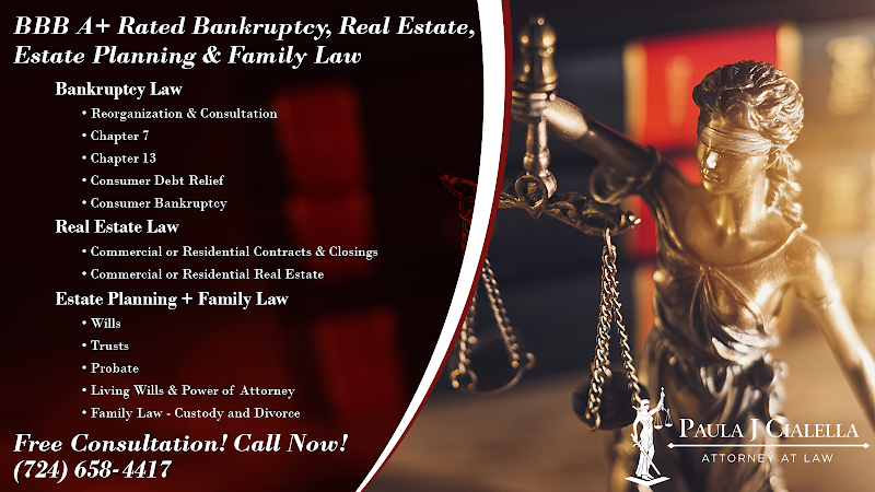 31117 paula j cialella law firm