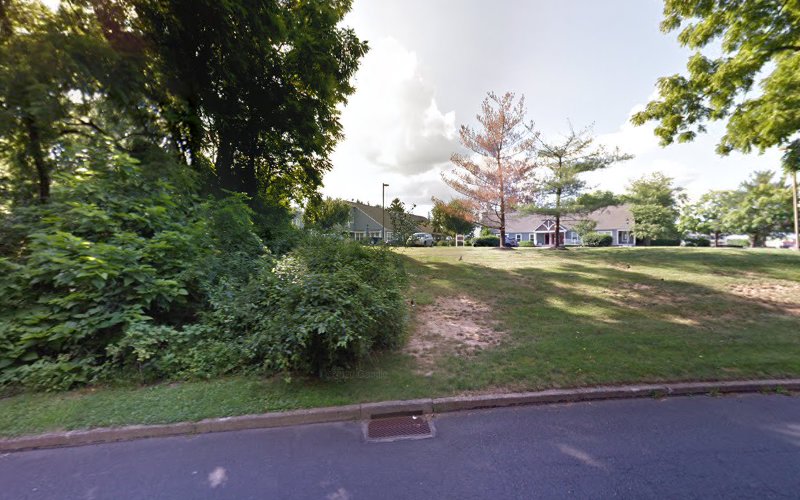 31293 petrelli previtera llc