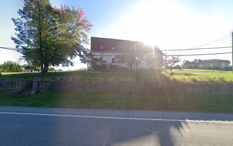 34517 the mayerson law offices p.c