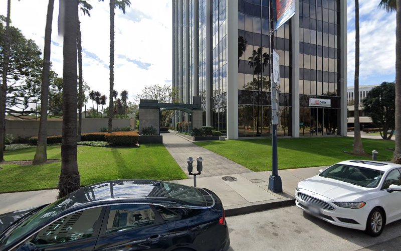 100030 binning ripps llp
