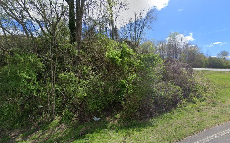 102055 blueridge mediation