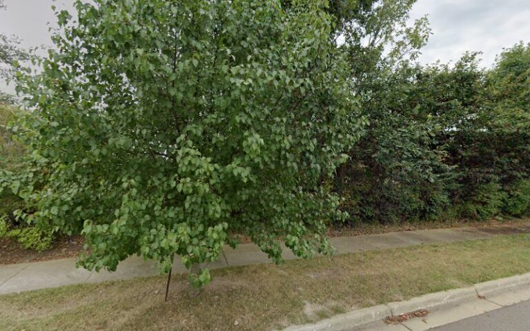 102422 bobryk shirlee m 768x480