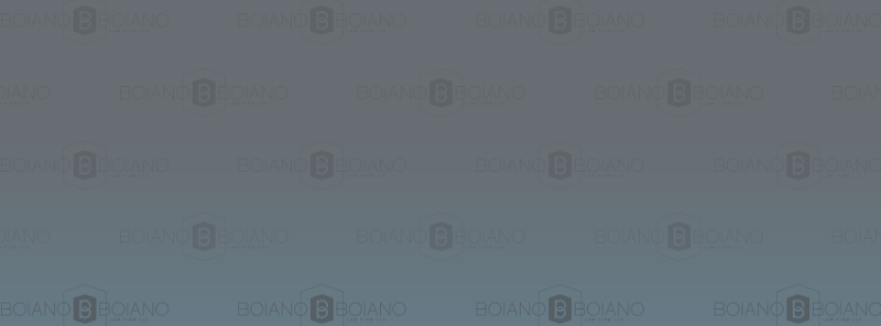 102788 boiano boiano llc