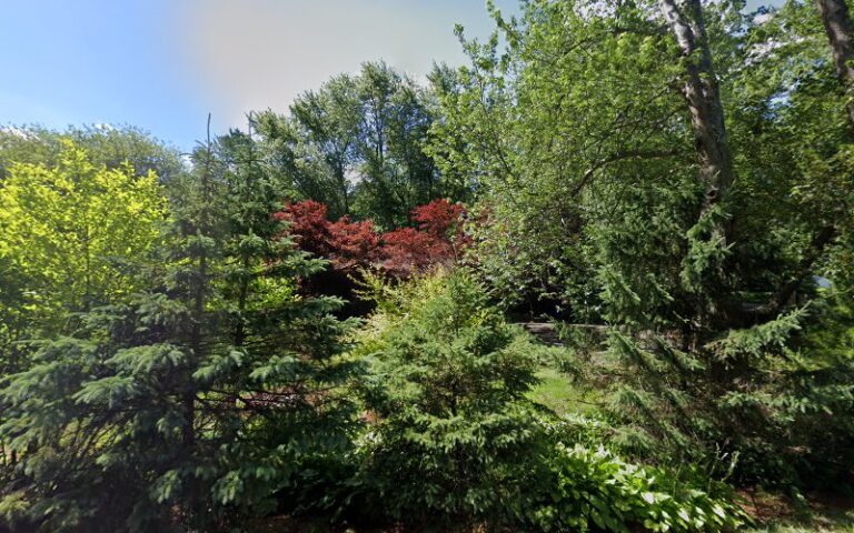 Feature image