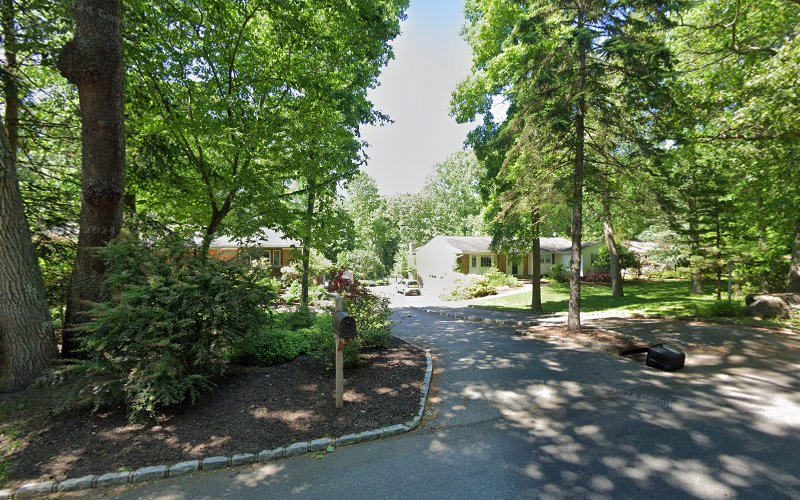 106673 braunstein lee s