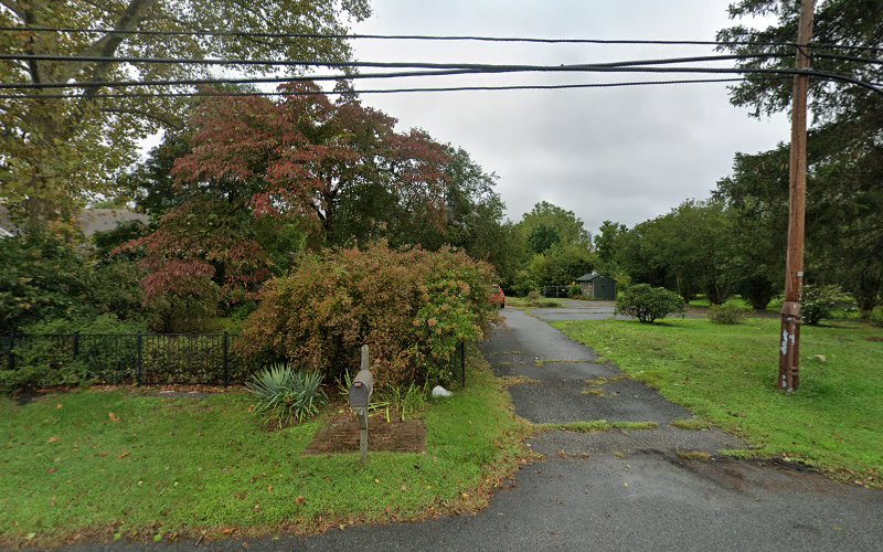 106689 braverman carol p