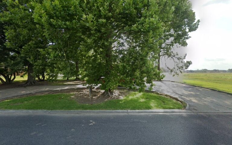 Feature image