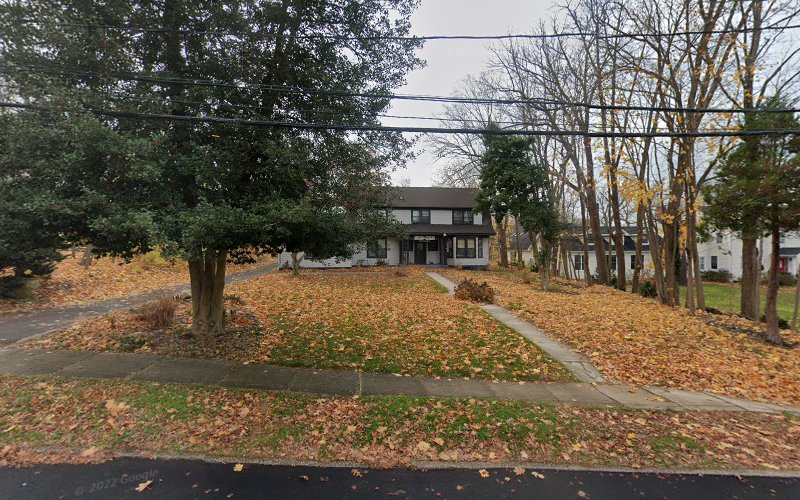 107633 brettschneider brettschneider llp