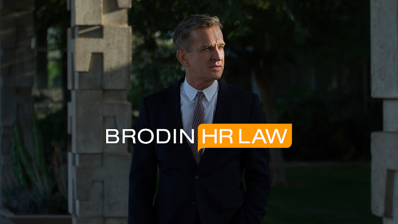 109538 brodin hr law