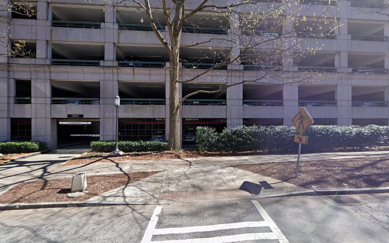113718 burney reese llc