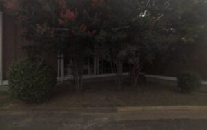 Feature image