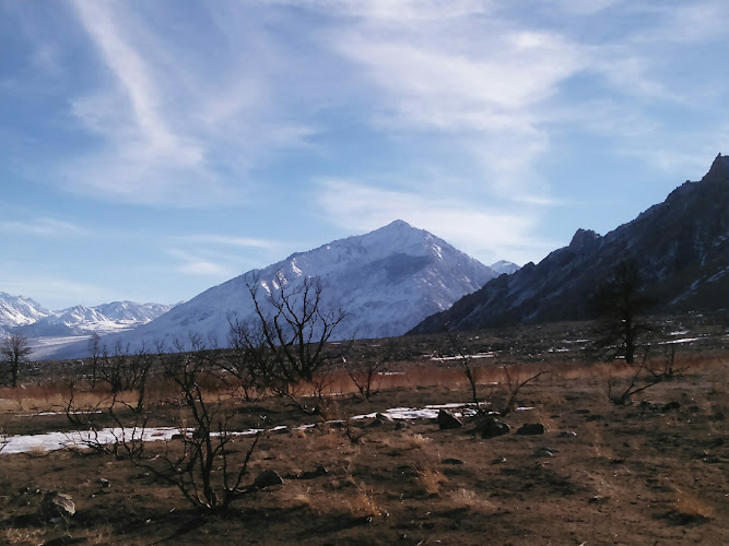 Feature image