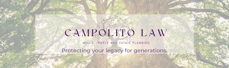 117255 campolito law