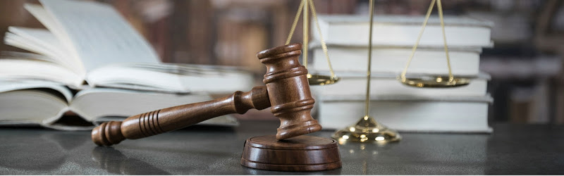 119088 carmen l. janssen fertility law