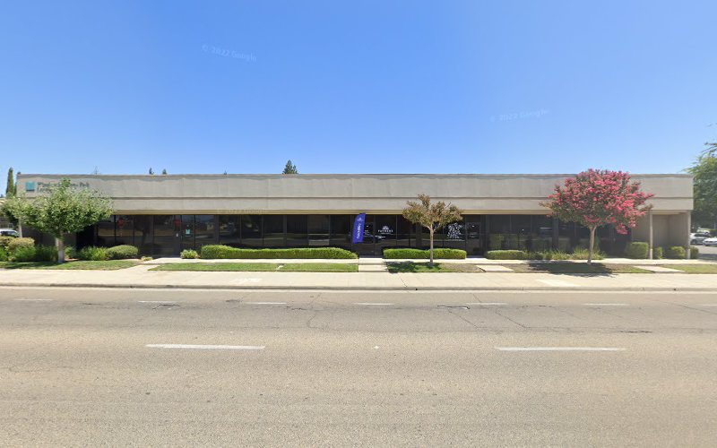 119252 carol ann moses attorney