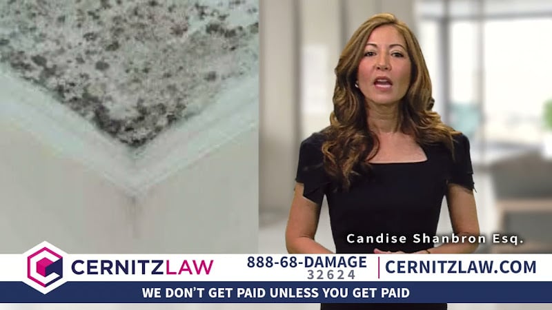 122367 cernitz law