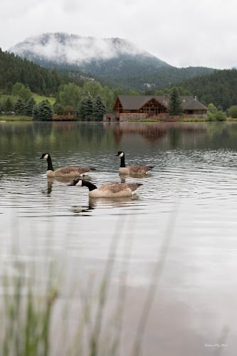 Feature image
