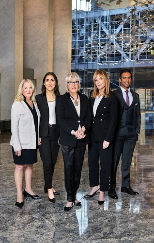 130893 cohen stine kapoor llp 8211 matrimonial family law firm