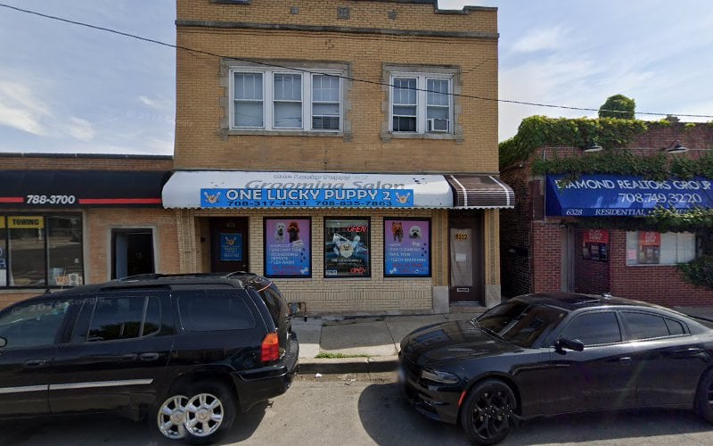 131634 collin law offices p.c