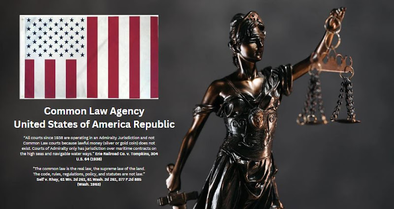 132356 common law 8211 united states of america republic