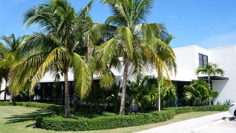 133265 conrad scherer trial lawyers 768x432