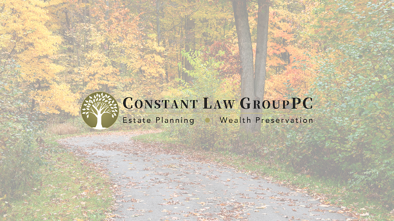133390 constant law group pc
