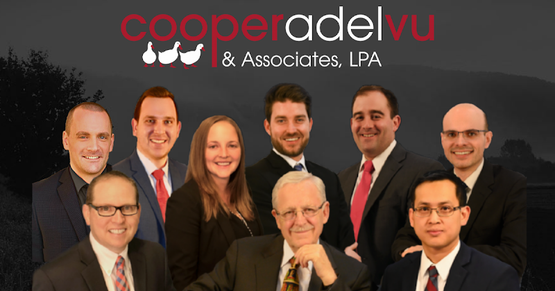 134282 cooper adel vu associates lpa 8211 medina