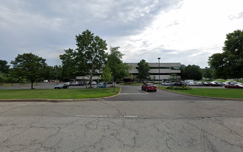 137865 critchley kinum denoia llc