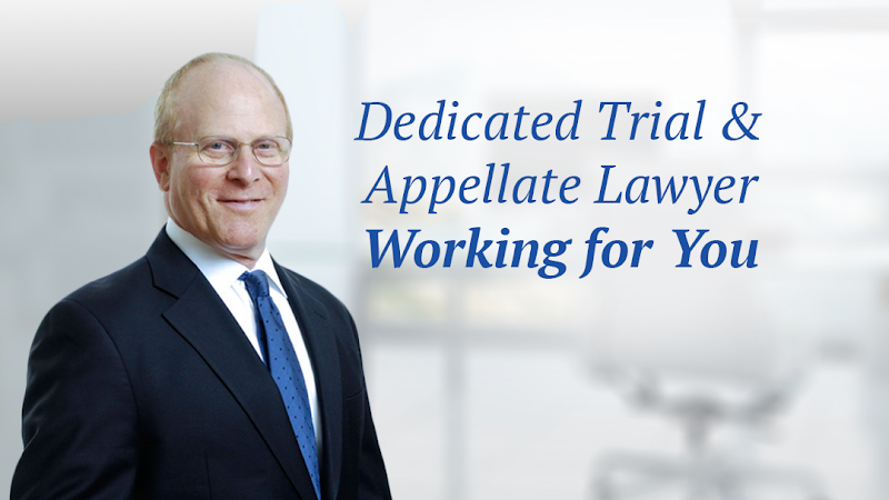 145767 david schoen attorney at law