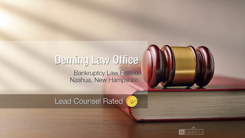 149941 deming law office