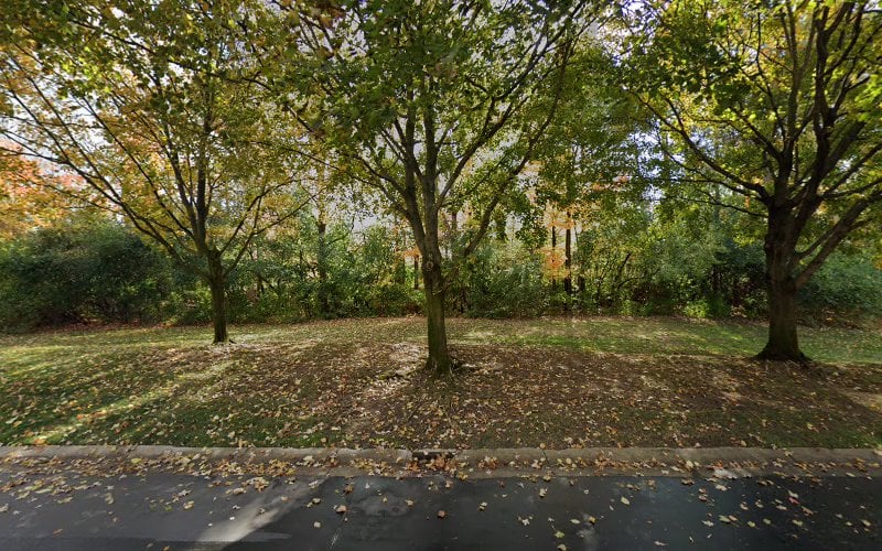 151551 devlin law
