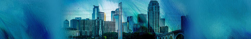 151695 dewitt llp minneapolis law firm