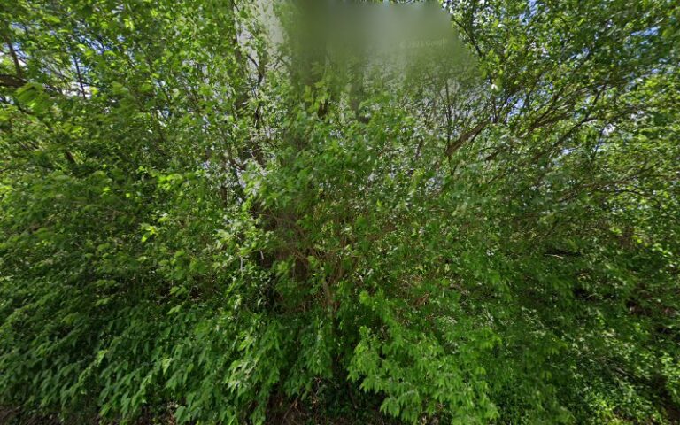 153154 disability advocates the blu 768x480