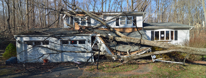 153319 disaster recovery adjusters