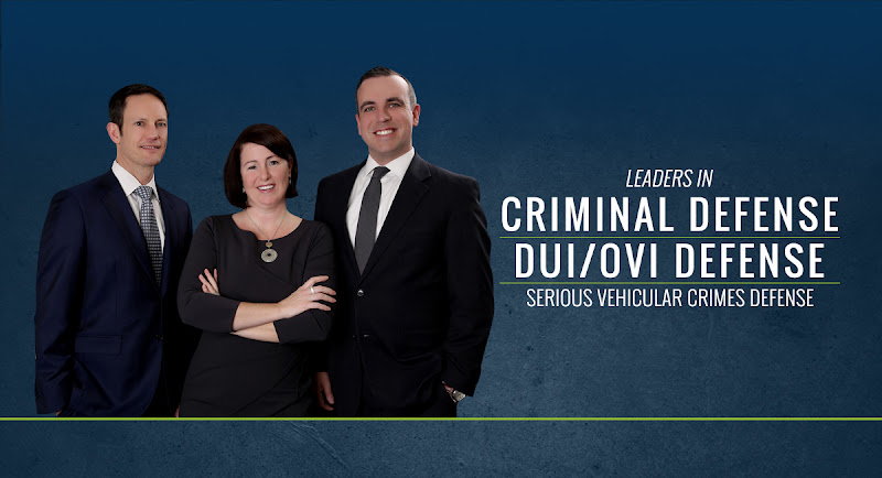 155068 dominy law firm llc