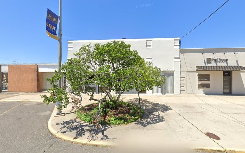 155479 donald l mayeux law firm