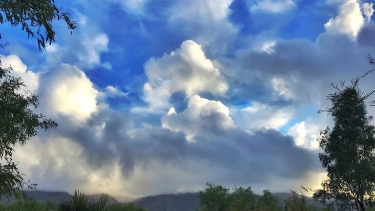 155728 donisonlaw 768x432