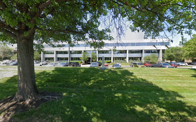 155736 donlon brand llc