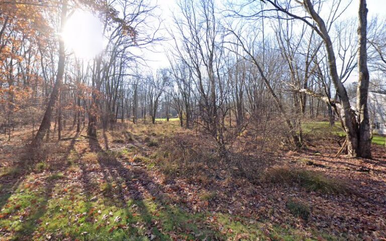 161358 edell associates 768x480