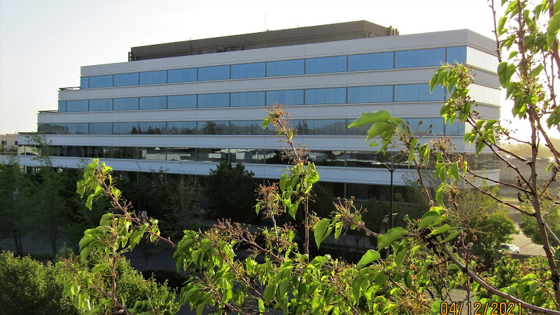 161645 edrington schirmer murphy llp