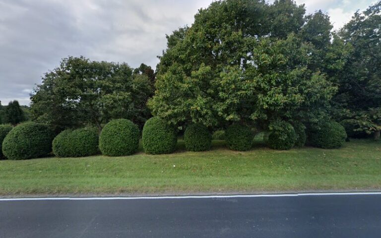 Feature image