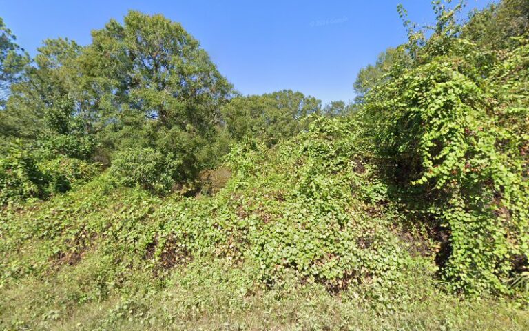 165532 ennis andrew 768x480