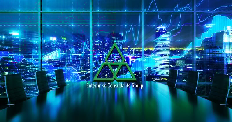 165586 enterprise consultants group