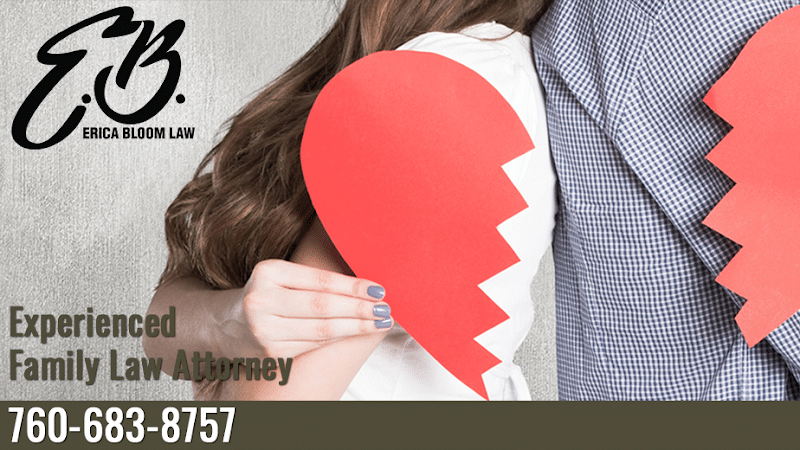 166503 erica bloom law
