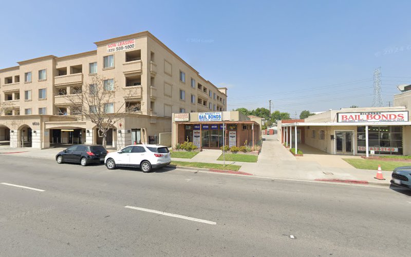 166667 erika higgins bail bonds